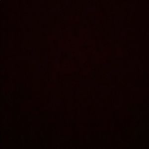 Meet your Posher, Angelina